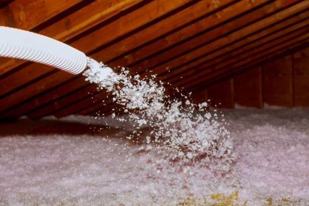 Best Commercial Insulation in Breckenridge Hills, MO